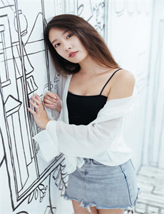 班淑传奇