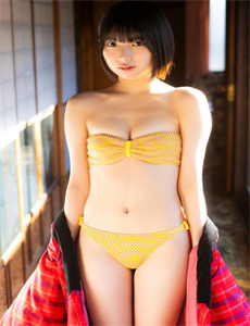 芝加哥烈焰第十季